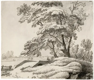 Bruggetje Over Beek Bij Bomen