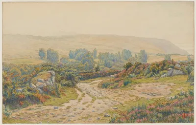 Brume Et Rosee Landes De Pors Leonnec Morgat