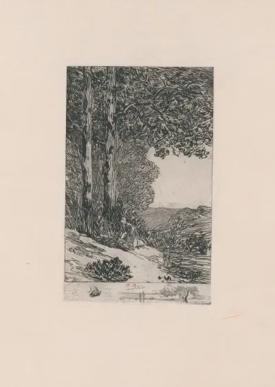 Bucheronne