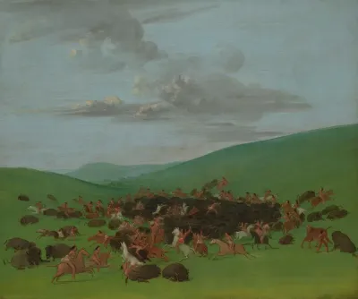 Buffalo Chase A Surround By The Hidatsa