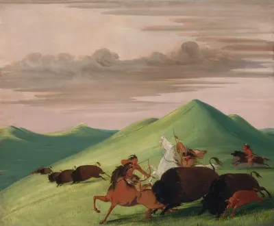 Buffalo Chase Bull Protecting A Cow And Calf