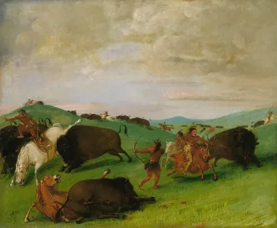 Buffalo Chase Bulls Making Battle With Men And Horses
