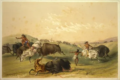 Buffalo Hunt A Numerous Group
