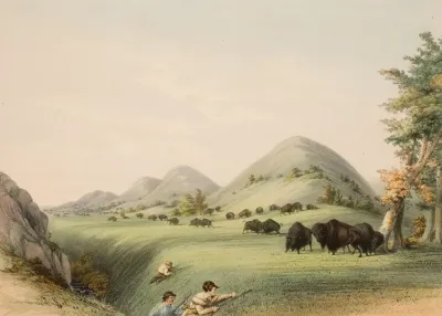 Buffalo Hunt Approaching In A Ravine