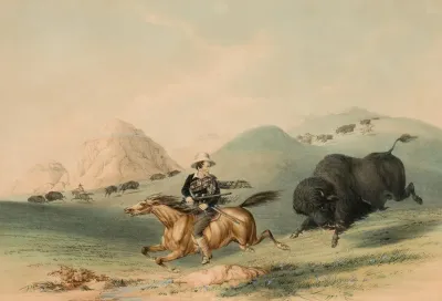 Buffalo Hunt Chasing Back