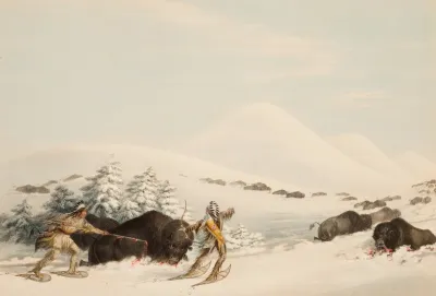 Buffalo Hunt On Snow Shoes