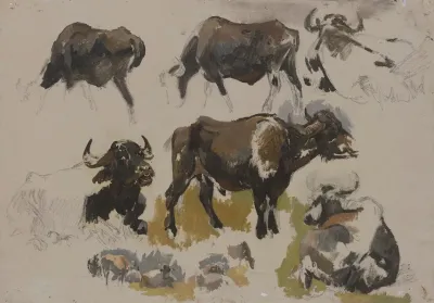 Buffalos And Cattle