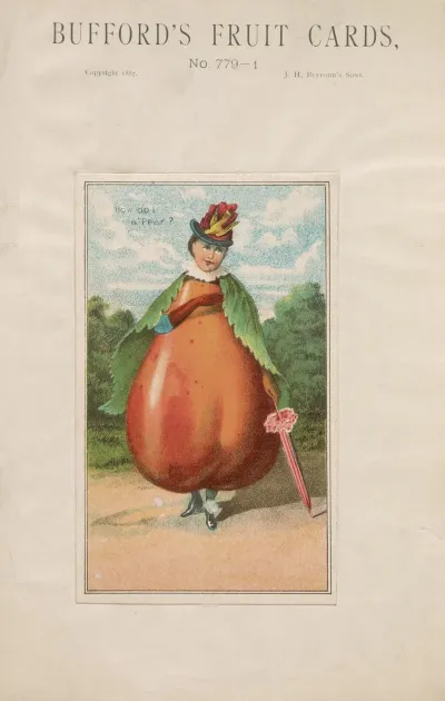 Buffords Fruit Cards No 779 1 Pear