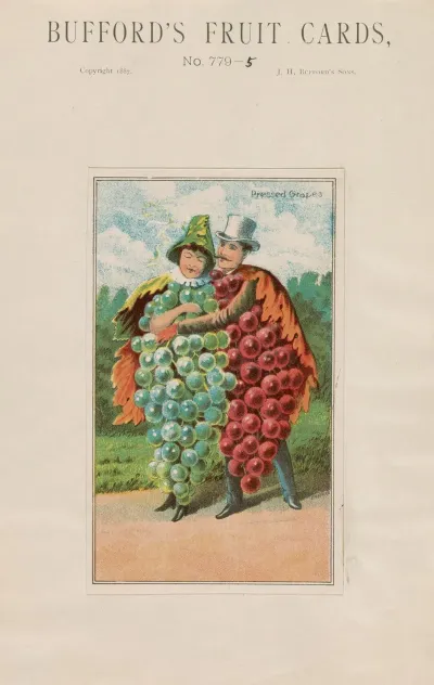 Buffords Fruit Cards No 779 5 Grapes