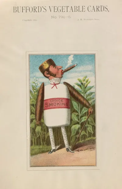 Buffords Vegetable Cards No 790 5 Tobacco