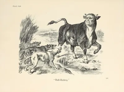 Bull Baiting