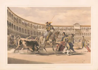 Bull Charging A Picador