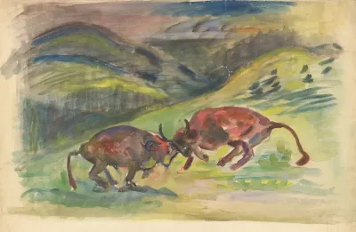 Bull Fight 2
