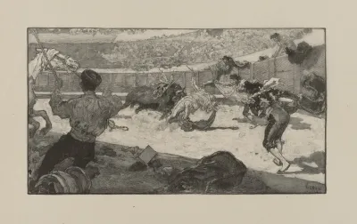Bull Fight 4