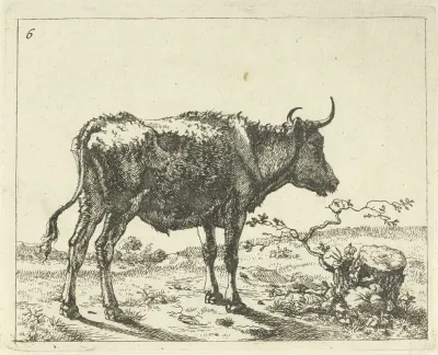 Bull Standing By Tree Stump