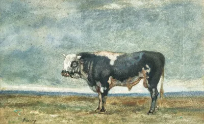Bull