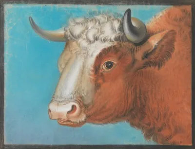 Bulls Head 4