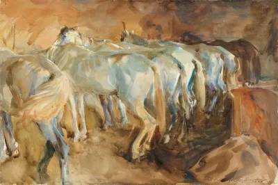 Bus Horses In Jerusalem