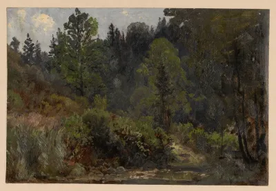 Bush And Trees By The Szczawnik