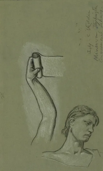 Bust And Shoulders Of Minerva