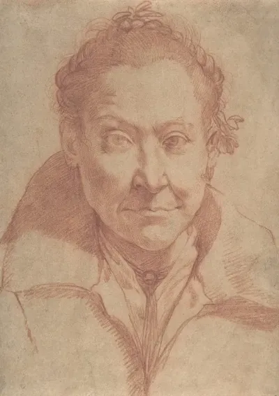 Bust Length Portrait Of A Woman