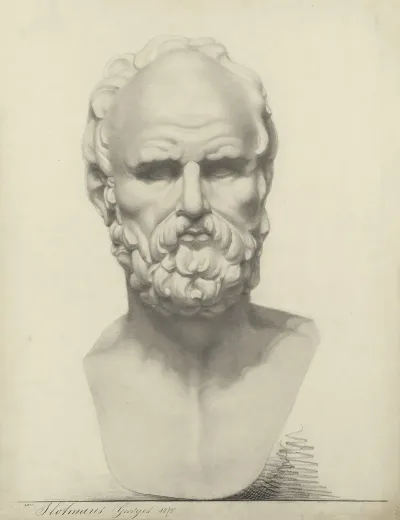 Bust Of A Man 8