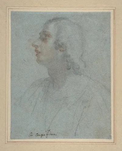 Bust Of A Youth Looking To Upper Left