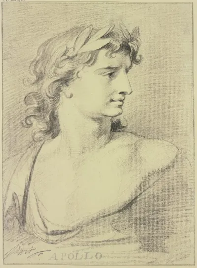 Bust Of Apollo