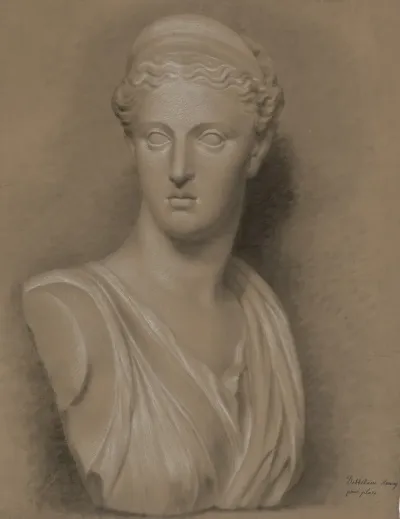 Bust Of Diana 6