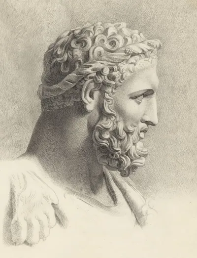 Bust Of Hercules