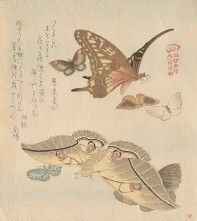Butterflies And Moths From The Series A Flock Of Butterflies Guncho Gafu 2