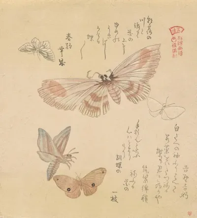 Butterflies And Moths From The Series A Flock Of Butterflies Guncho Gafu