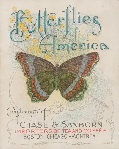 Butterflies Of America Pl 1