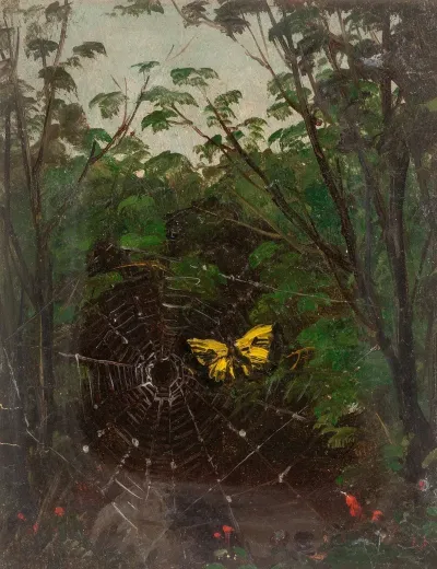 Butterfly In A Spiderweb