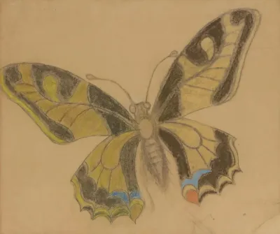 Butterfly Old World Swallowtail