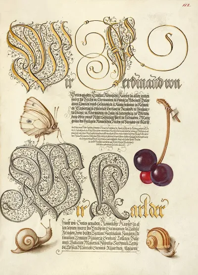 Butterfly Sweet Cherry And Land Snails