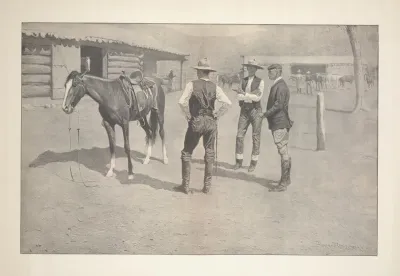 Buying Polo Ponies In The West