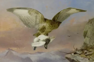 Buzzard With Ptarmigan