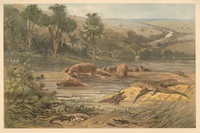 By A River In The Interior Of Africa