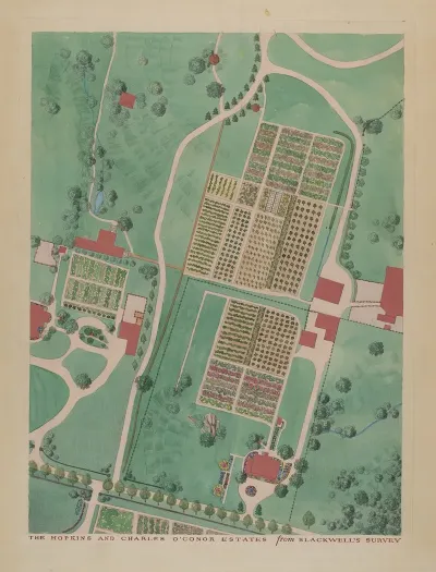 C Oconnor And J M Hopkins Estate