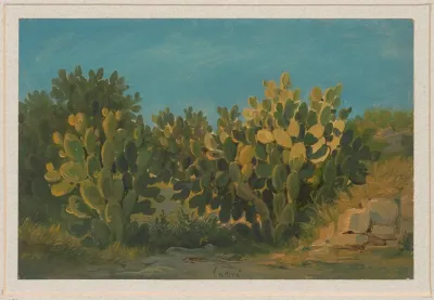 Cacti On The Island Of Capri