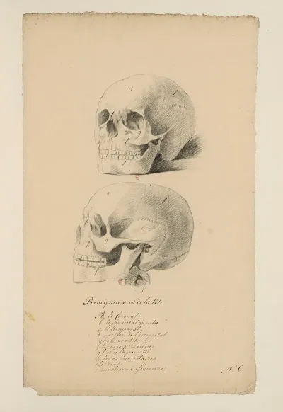Cahiers Danatomie Pl 05