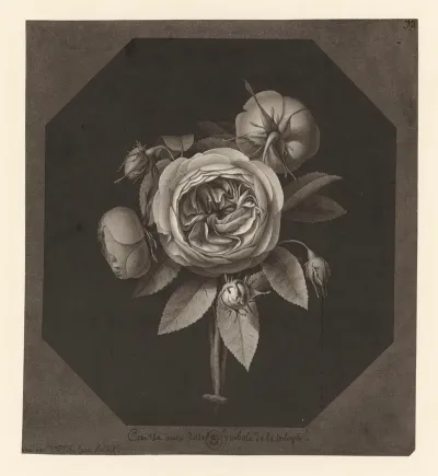 Caisse Avec Roses Symbole De La Volupte