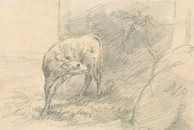 Calf With Head Of A Cow