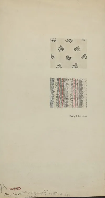 Calico Prints From Costume