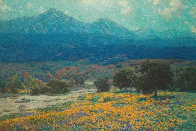 California Poppy Field