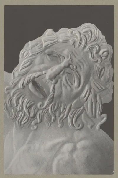 Calmovarine 2
