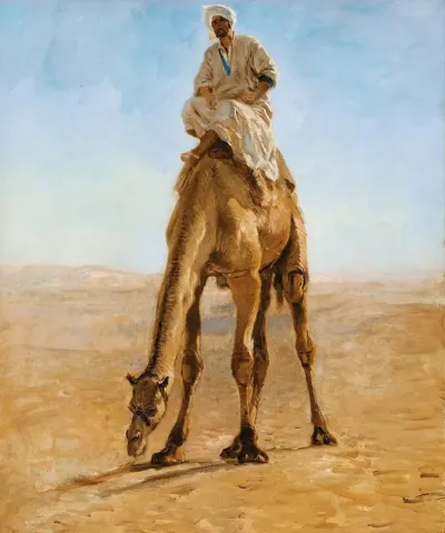 Camel Grazing Study For Pilgrims Going To Mecca