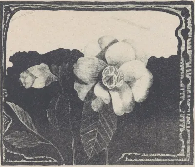 Camelia Links Een Bloem In Knop