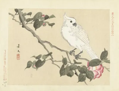 Camellia And Yellow Crested Cockatoo